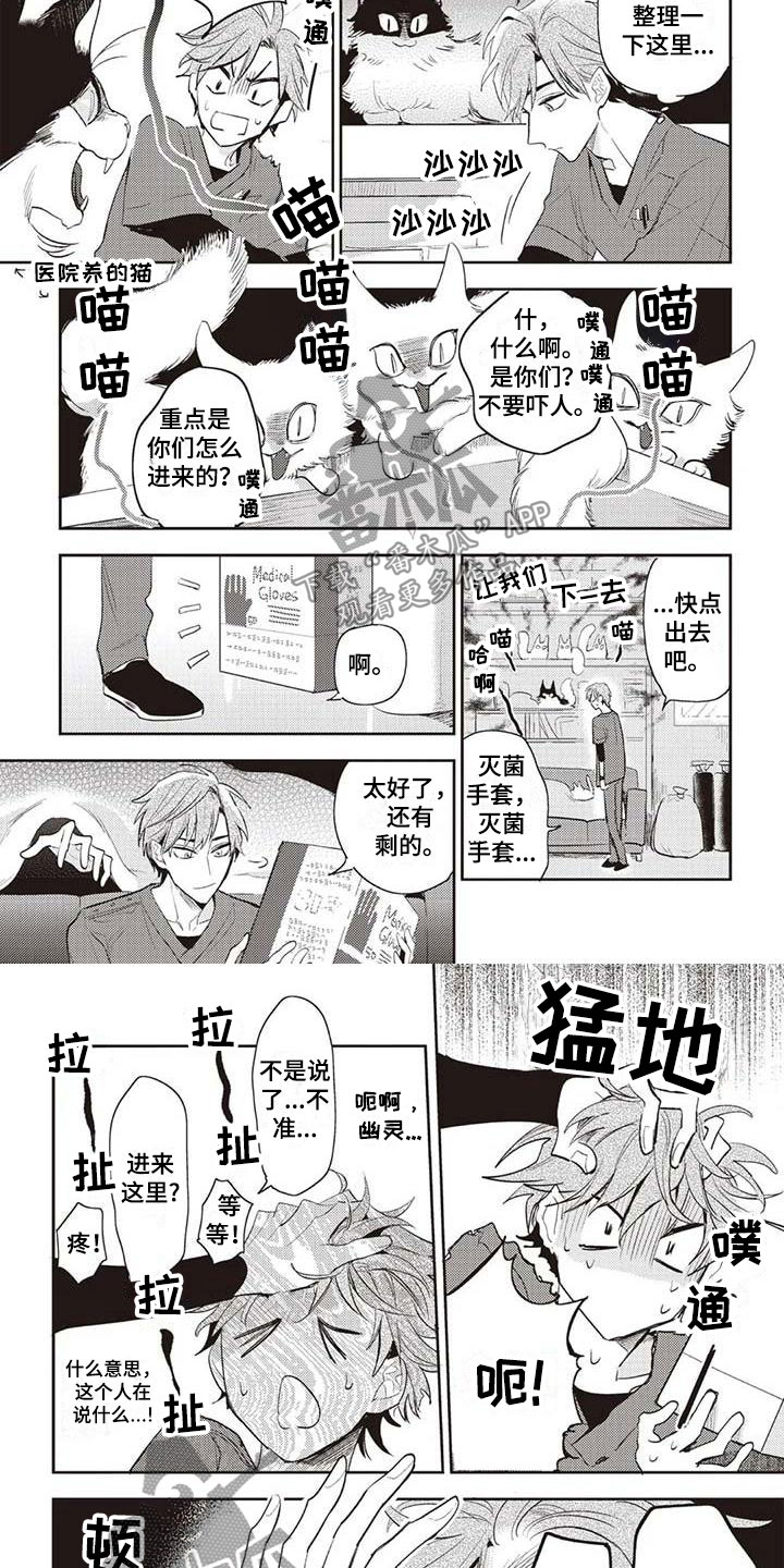 《游戏重启》第20章生岛医生 第4页