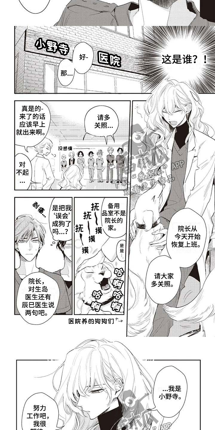 《游戏重启》第20章生岛医生 第6页