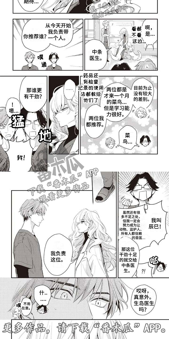 《游戏重启》第20章生岛医生 第7页