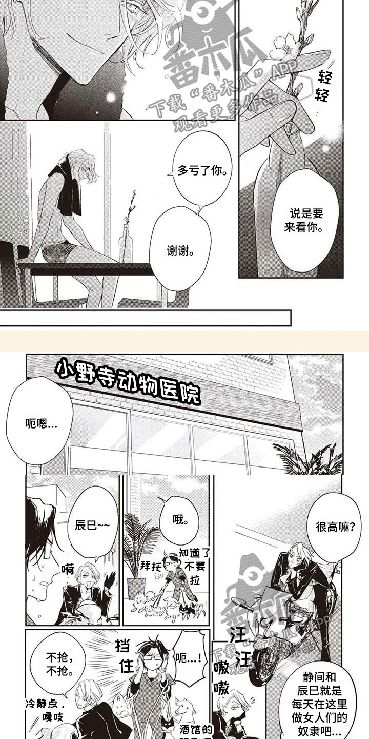 《游戏重启》第6章终于见面 第4页