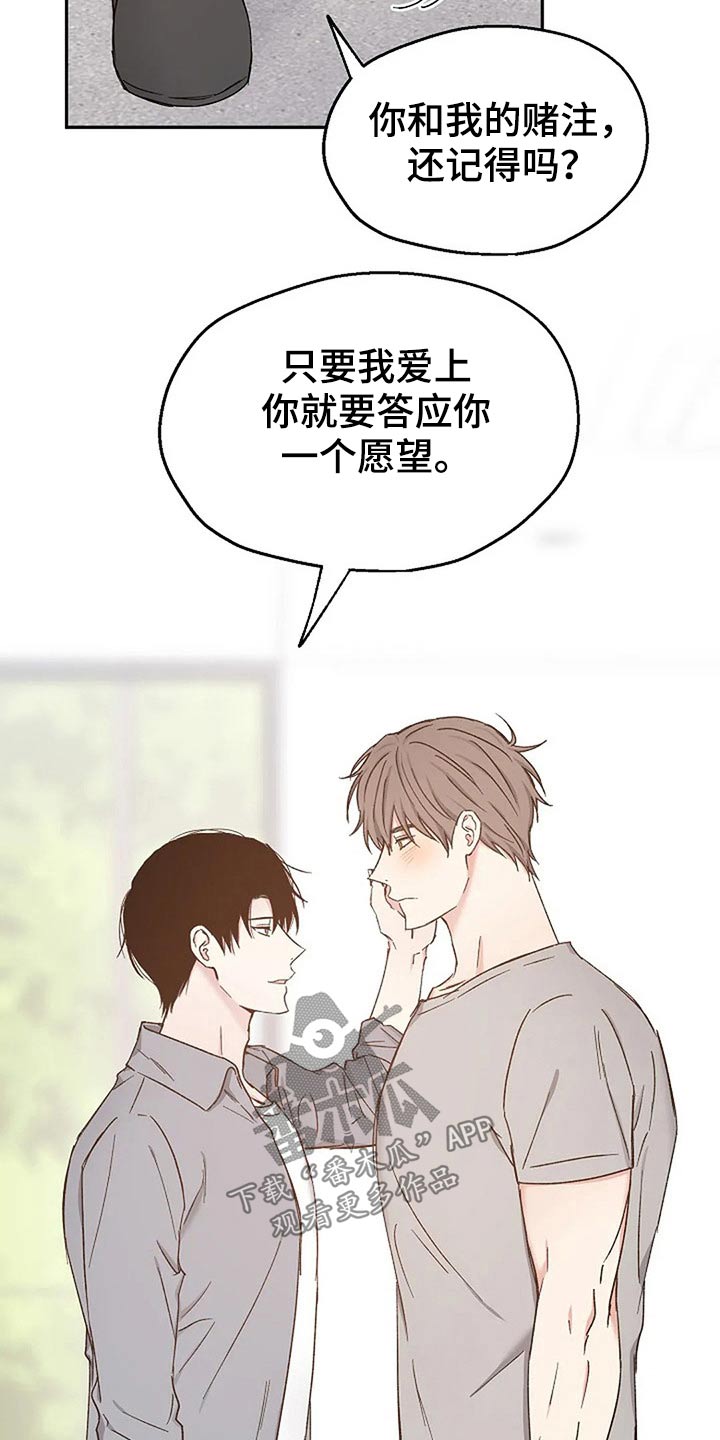 《爱情赌注》第82章爱的结局【完结】 第14页