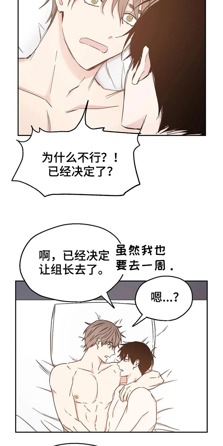 《爱情赌注》第82章爱的结局【完结】 第20页