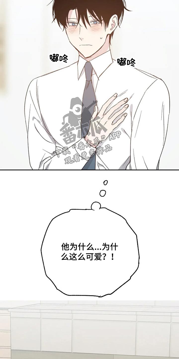《爱情赌注》第63章出名 第19页
