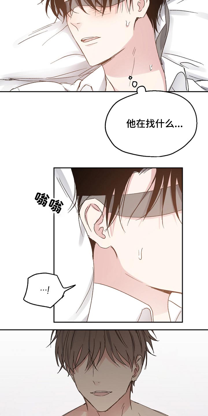 《爱情赌注》第59章信任 第15页