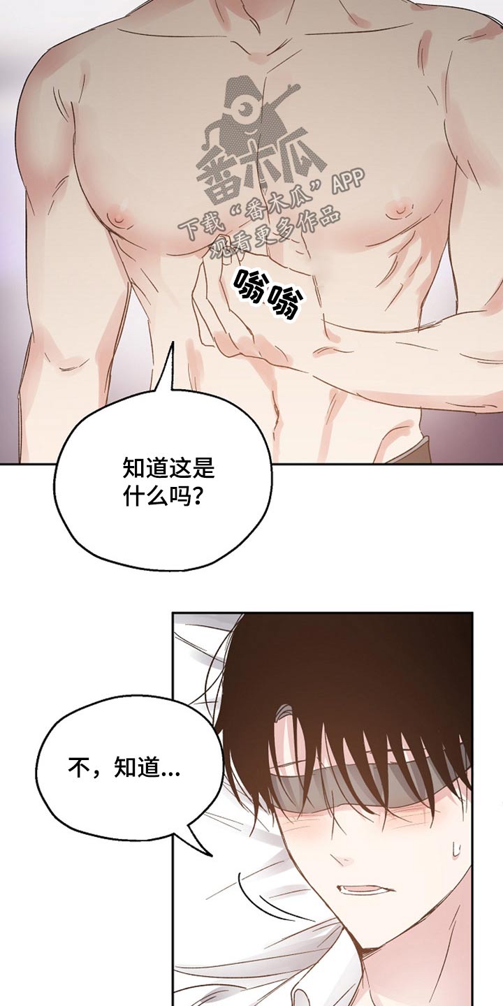 《爱情赌注》第59章信任 第16页