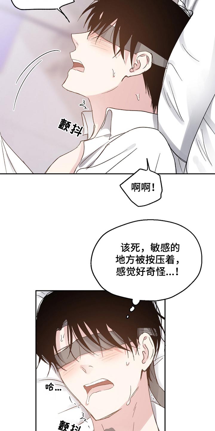 《爱情赌注》第59章信任 第19页