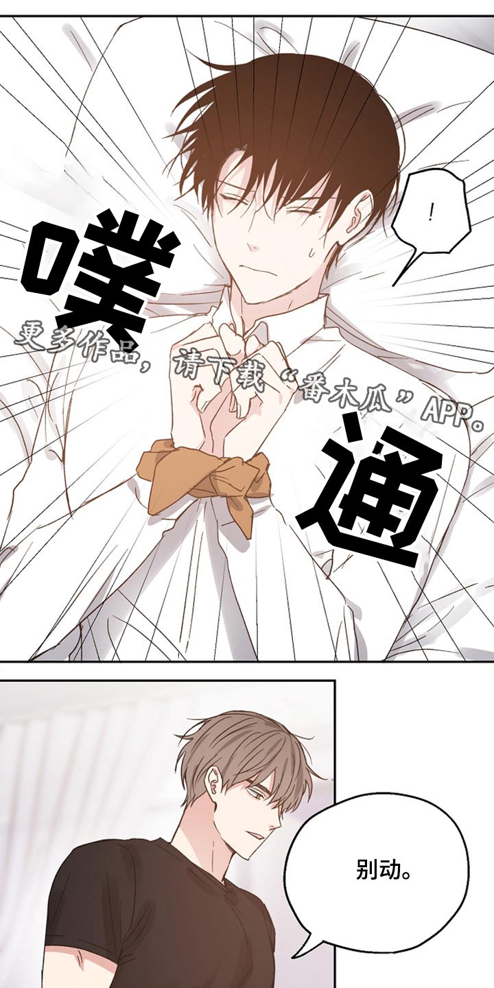 《爱情赌注》第59章信任 第1页