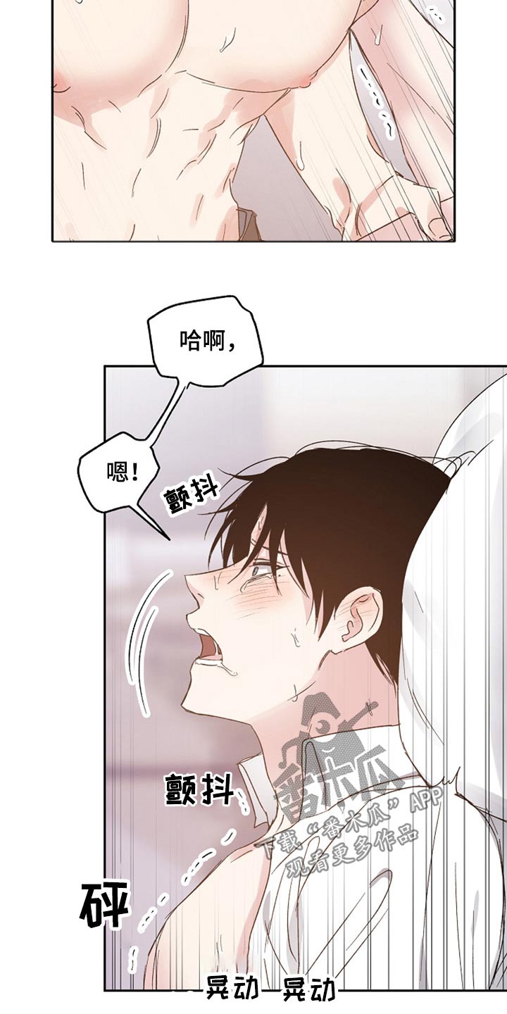 《爱情赌注》第60章解释 第8页
