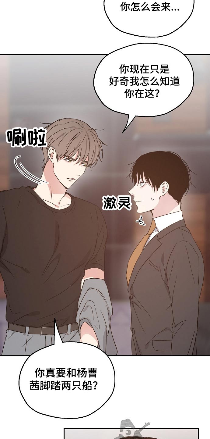 《爱情赌注》第58章安全感 第3页
