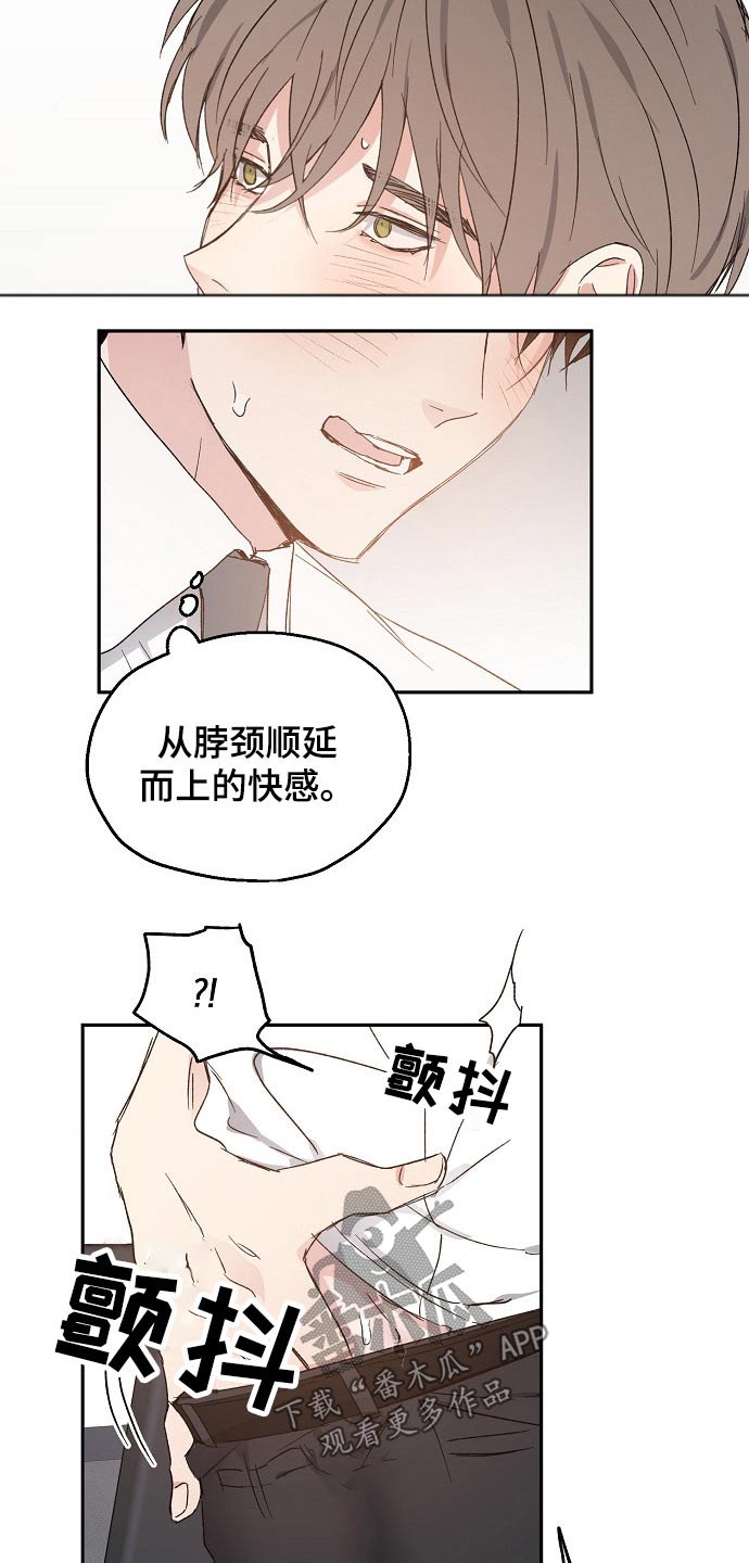 《爱情赌注》第53章撒娇 第14页