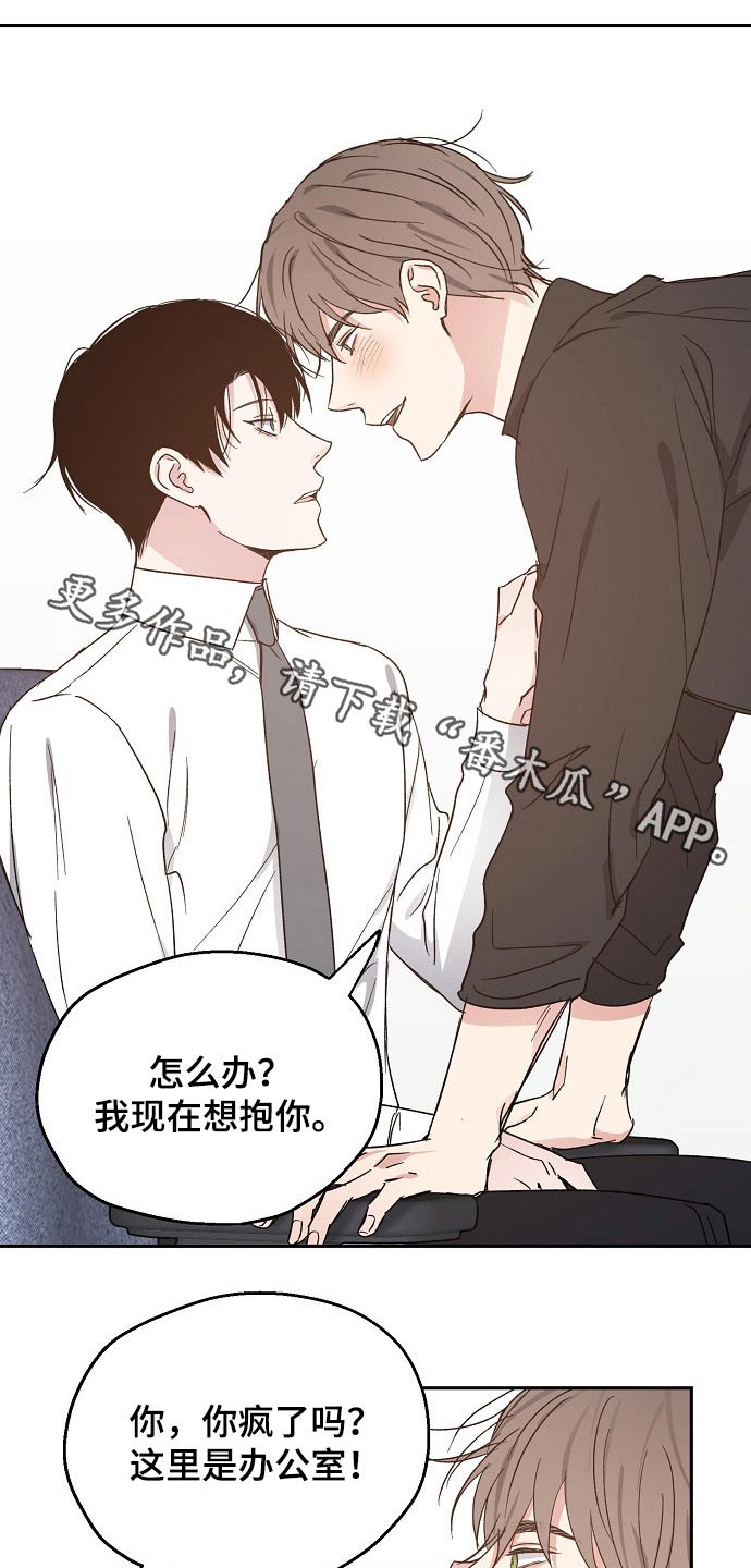 《爱情赌注》第53章撒娇 第1页