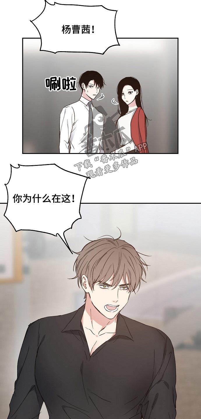 《爱情赌注》第51章恨意 第5页