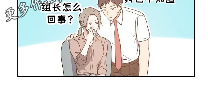 《爱情赌注》第49章考虑 第19页