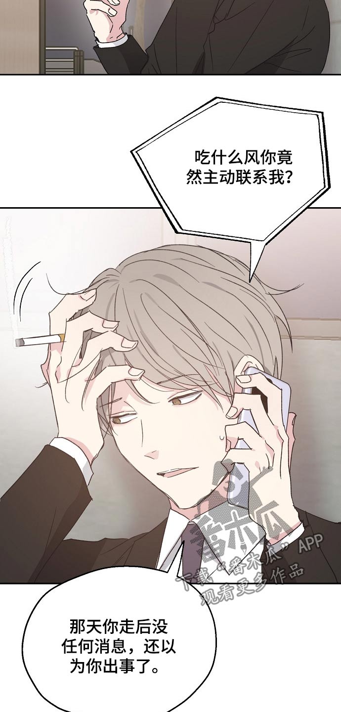 《爱情赌注》第47章道歉 第12页