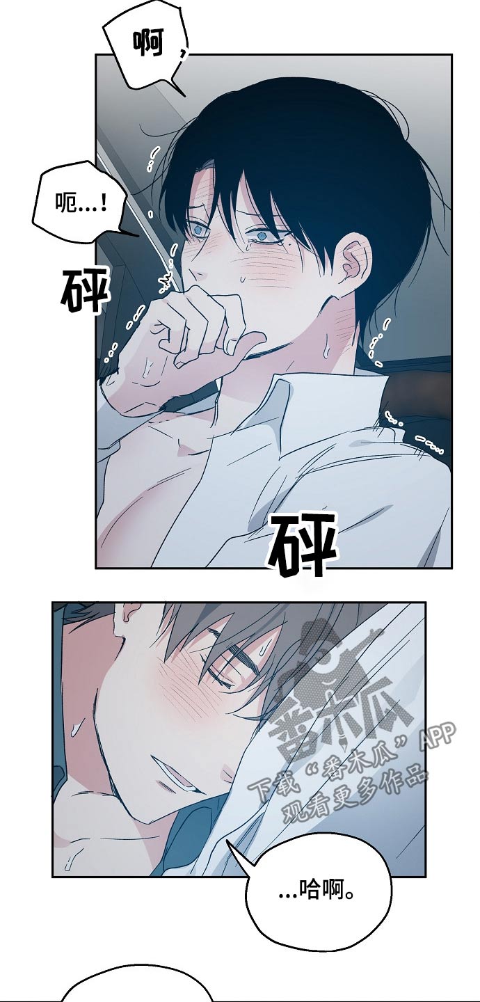 《爱情赌注》第46章乐意之极 第12页
