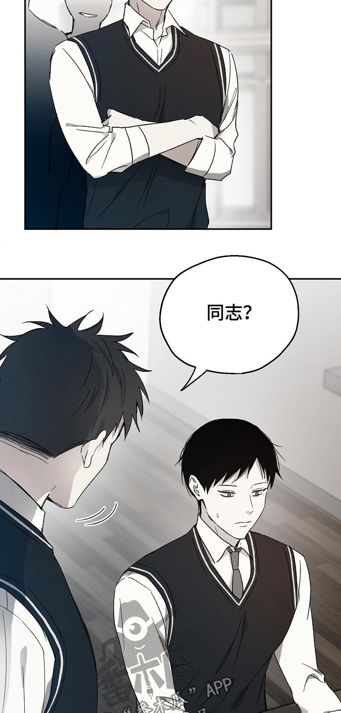 《爱情赌注》第41章嘲笑 第3页