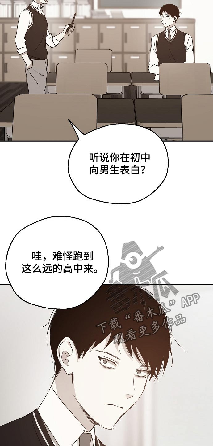 《爱情赌注》第40章我的过去 第13页