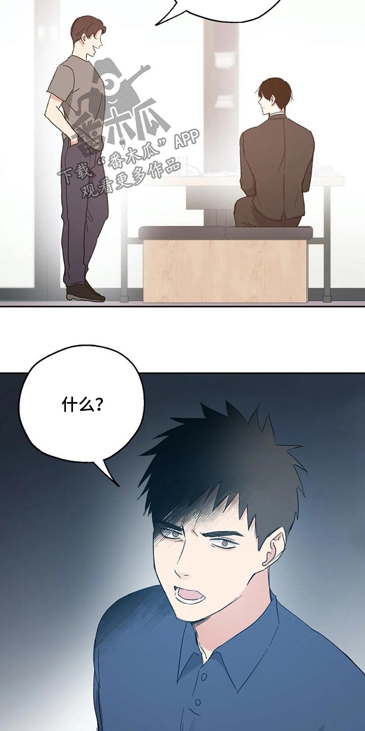 《爱情赌注》第36章挑衅 第13页