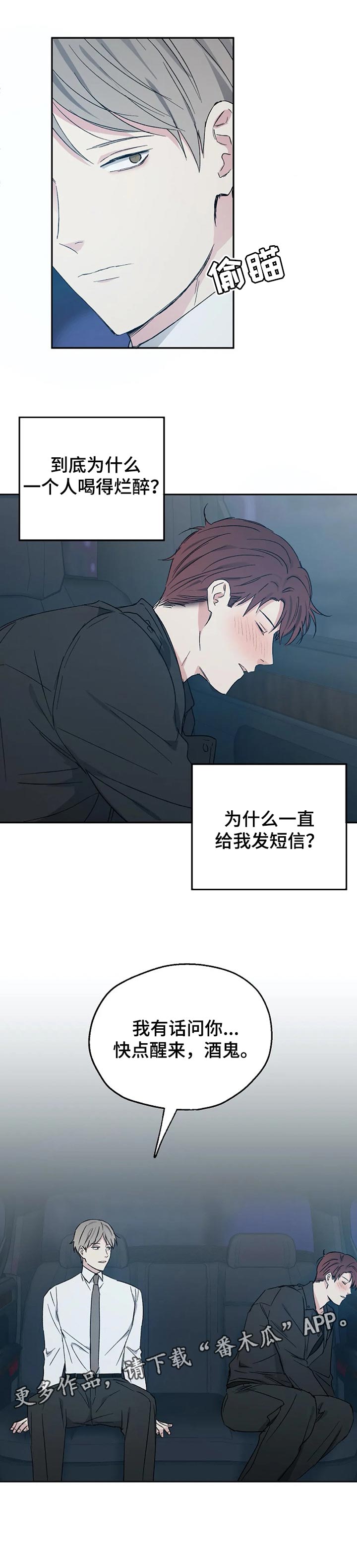 《爱情赌注》第30章喝醉 第8页