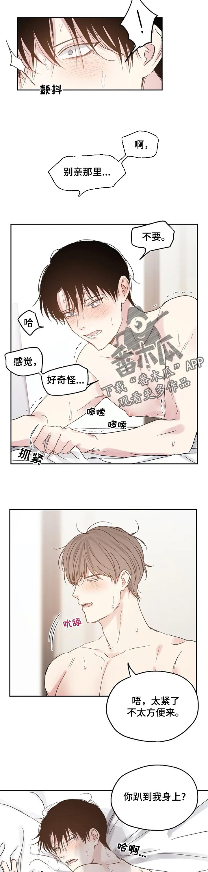 《爱情赌注》第27章只是爱好 第2页