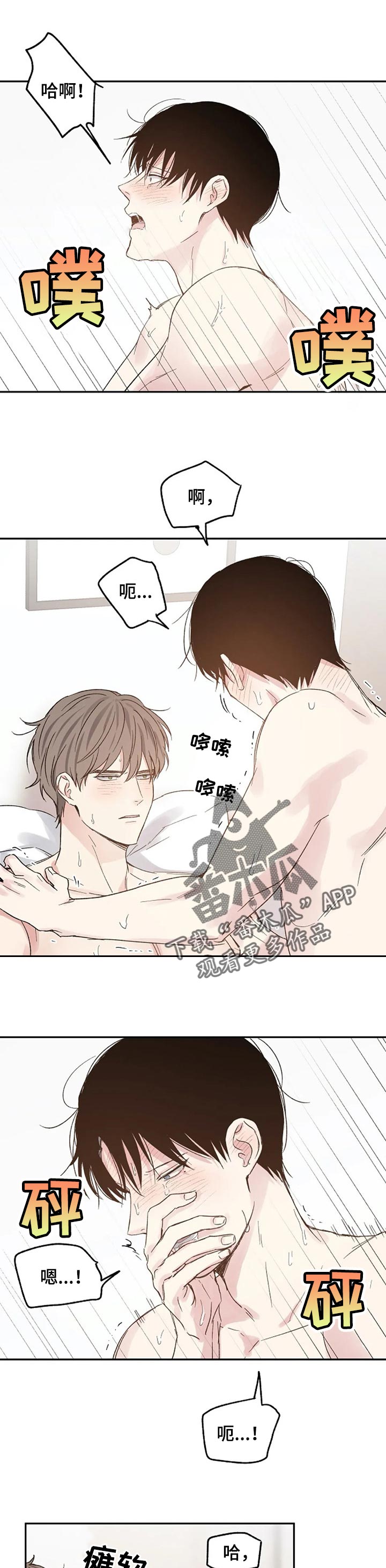 《爱情赌注》第27章只是爱好 第5页