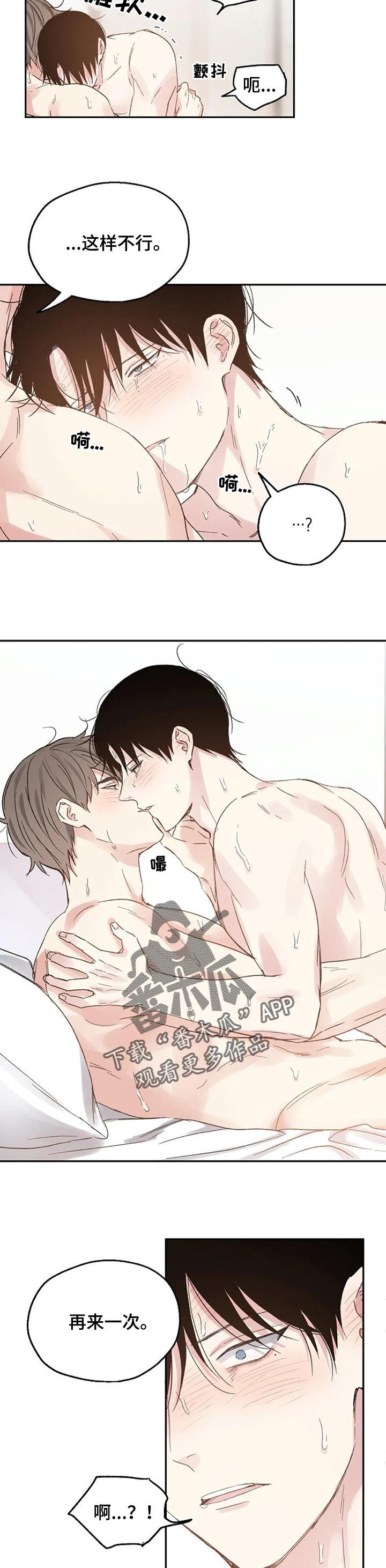 《爱情赌注》第27章只是爱好 第6页