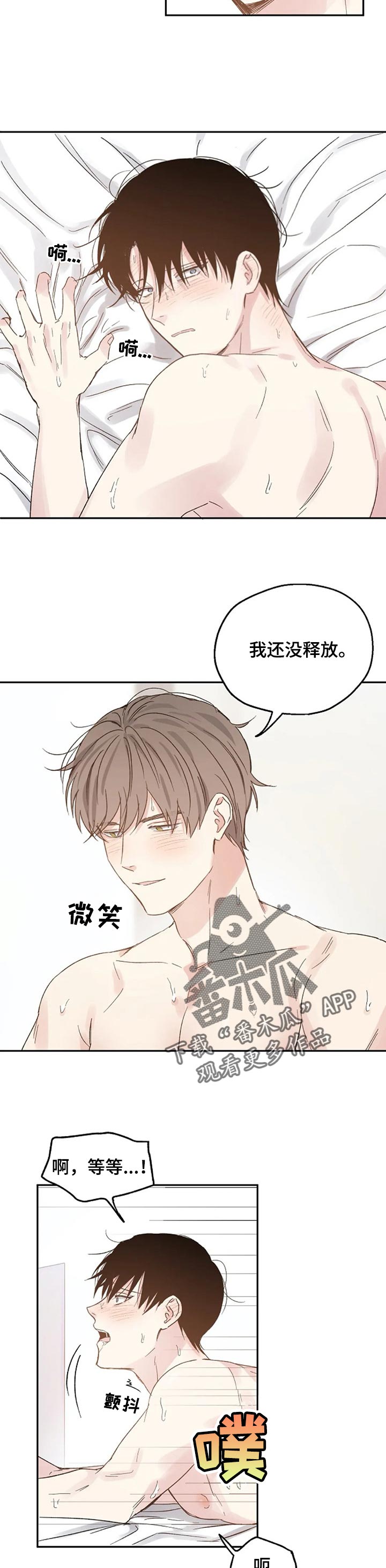《爱情赌注》第27章只是爱好 第7页