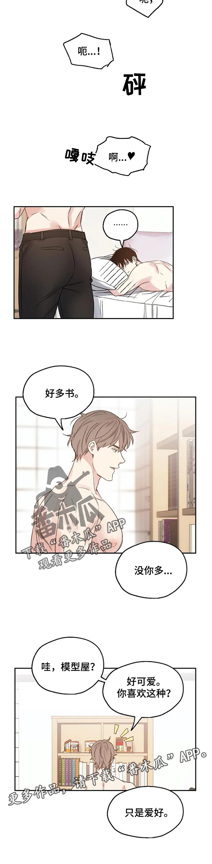 《爱情赌注》第27章只是爱好 第8页