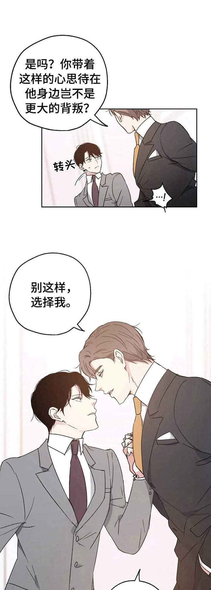 《爱情赌注》第6章婚礼 第10页