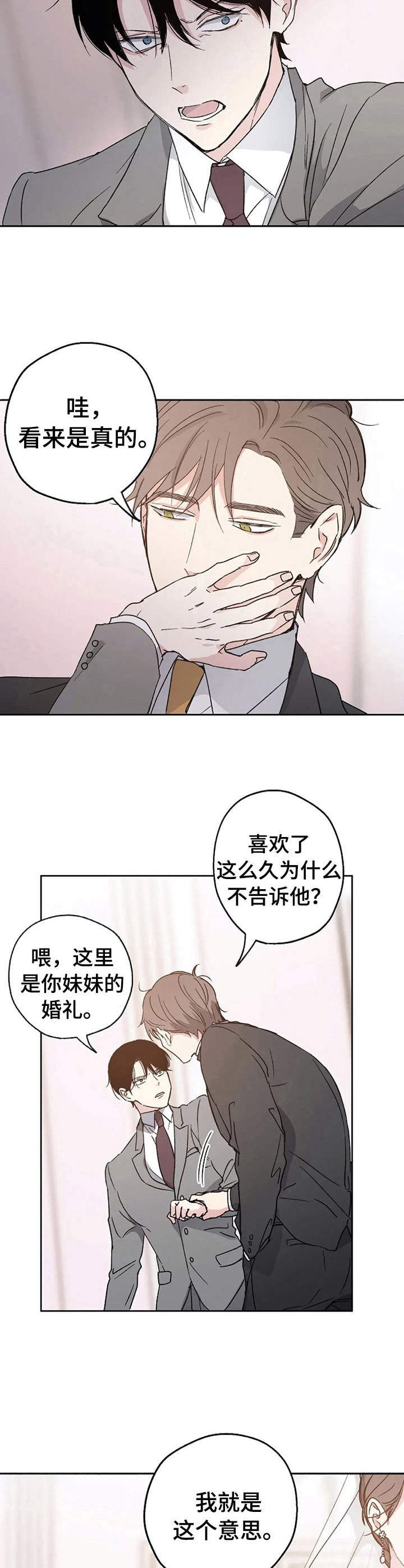 《爱情赌注》第6章婚礼 第8页