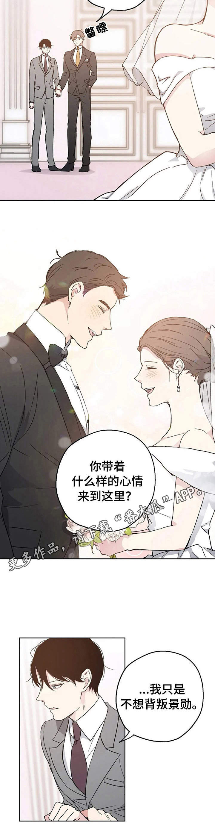 《爱情赌注》第6章婚礼 第9页