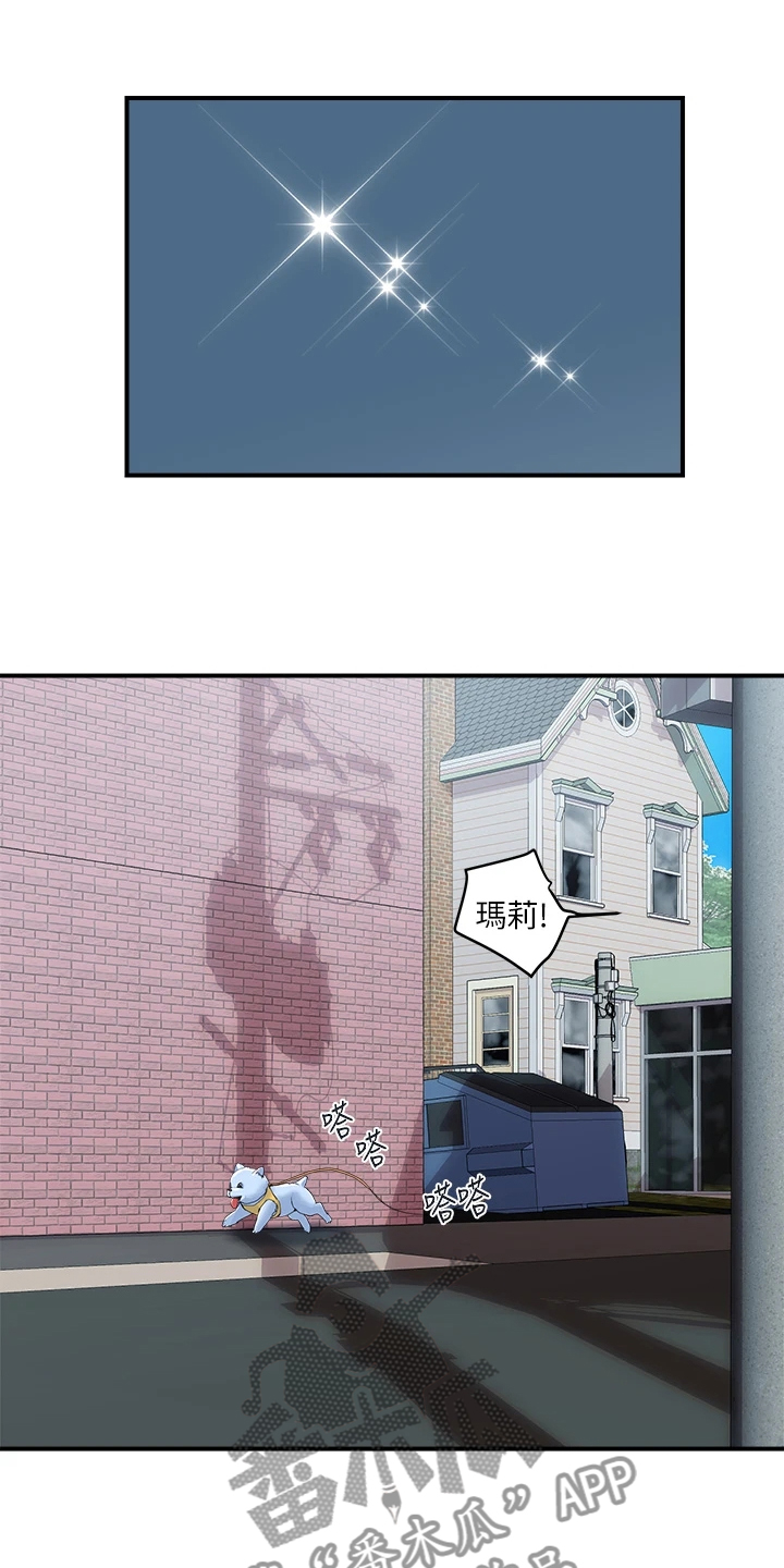 《神秘实验》第65章【完结】不再需要了 第23页
