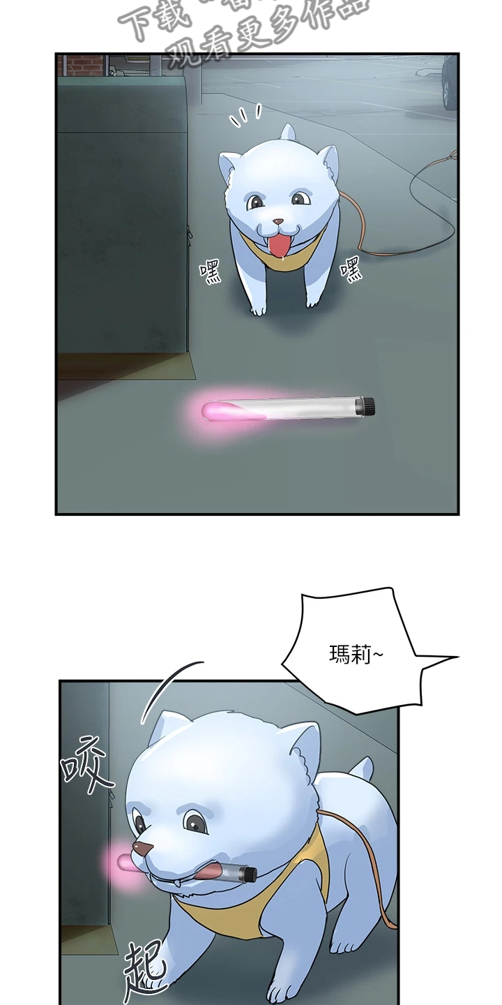 《神秘实验》第65章【完结】不再需要了 第24页