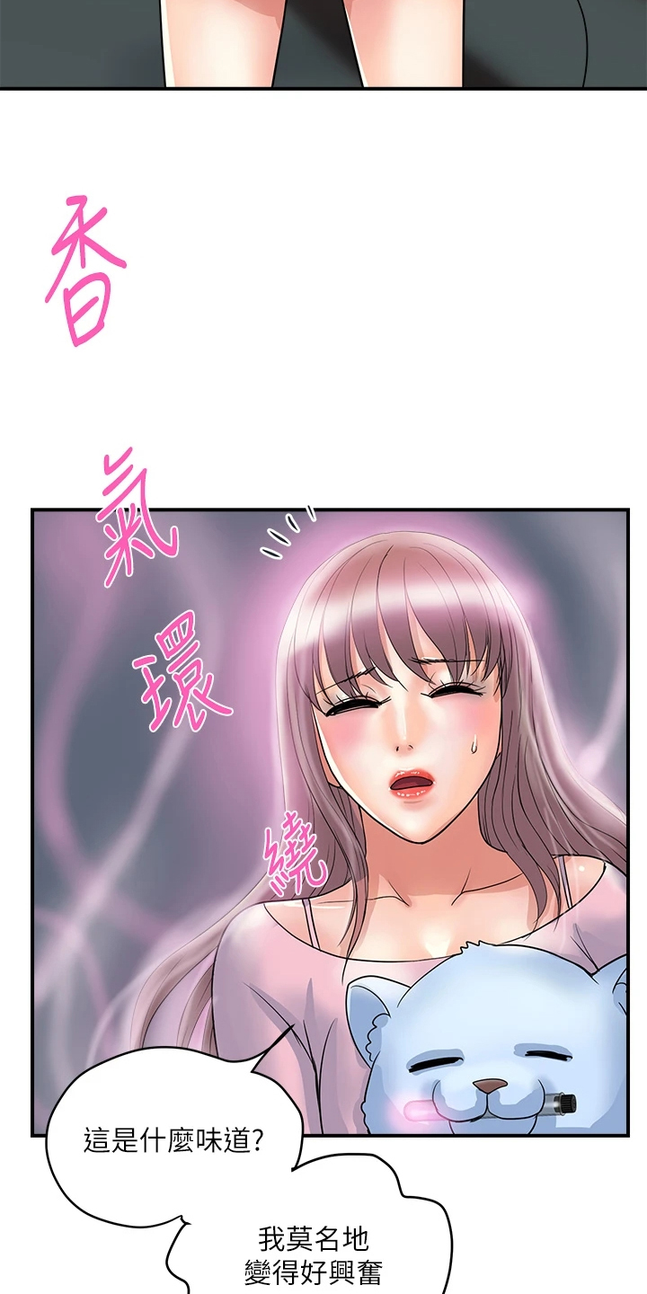 《神秘实验》第65章【完结】不再需要了 第26页