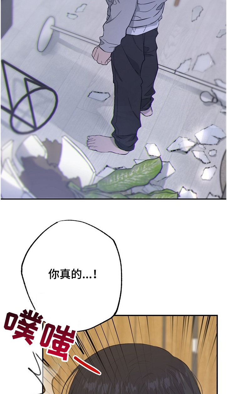 《同住屋檐下》第63章受伤 第14页