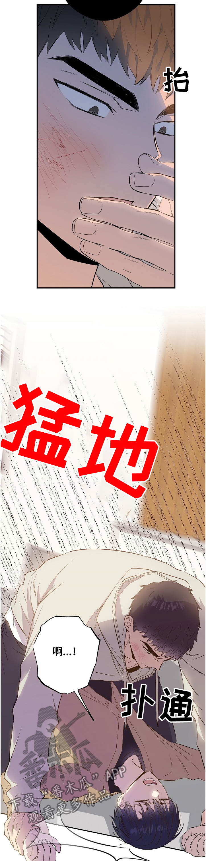 《同住屋檐下》第63章受伤 第5页