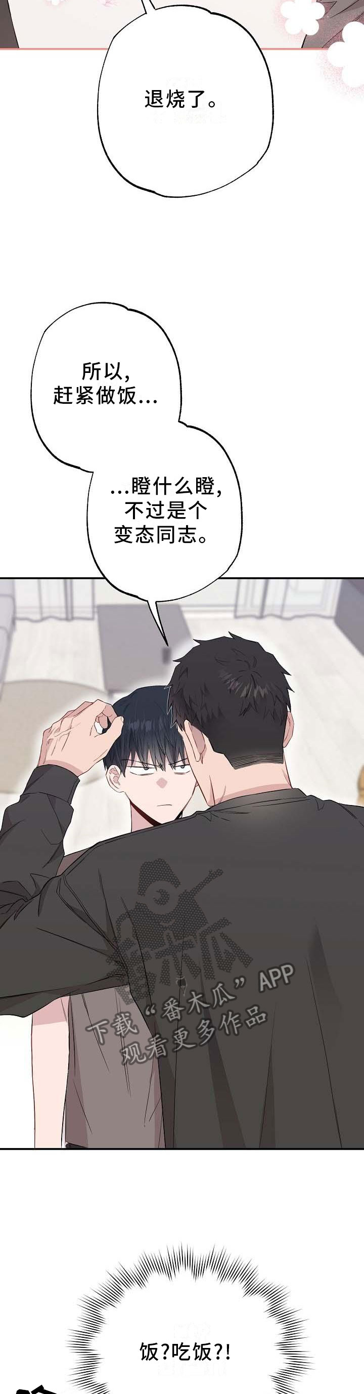 《同住屋檐下》第54章煮饭 第11页