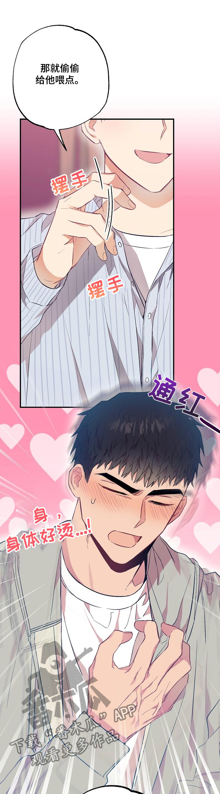 《同住屋檐下》第52章鲍鱼粥 第11页