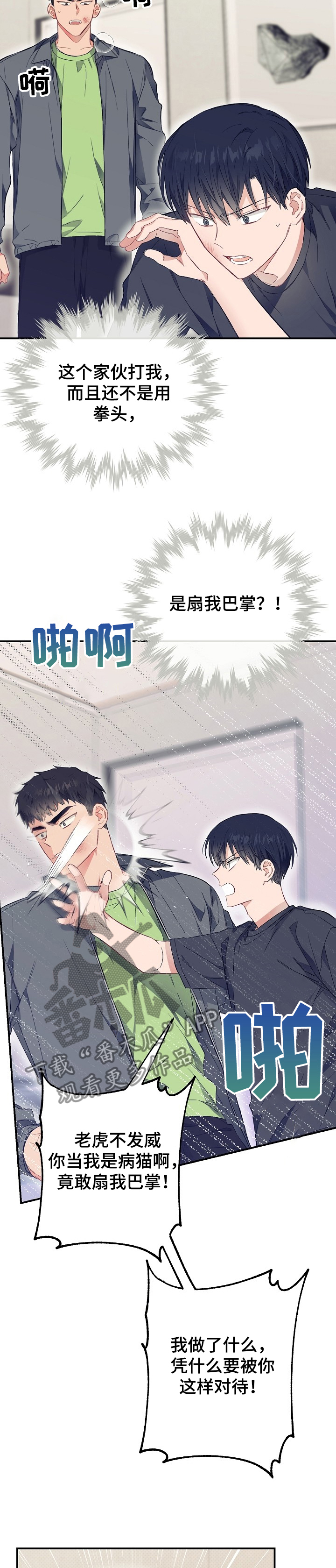 《同住屋檐下》第46章反目 第8页