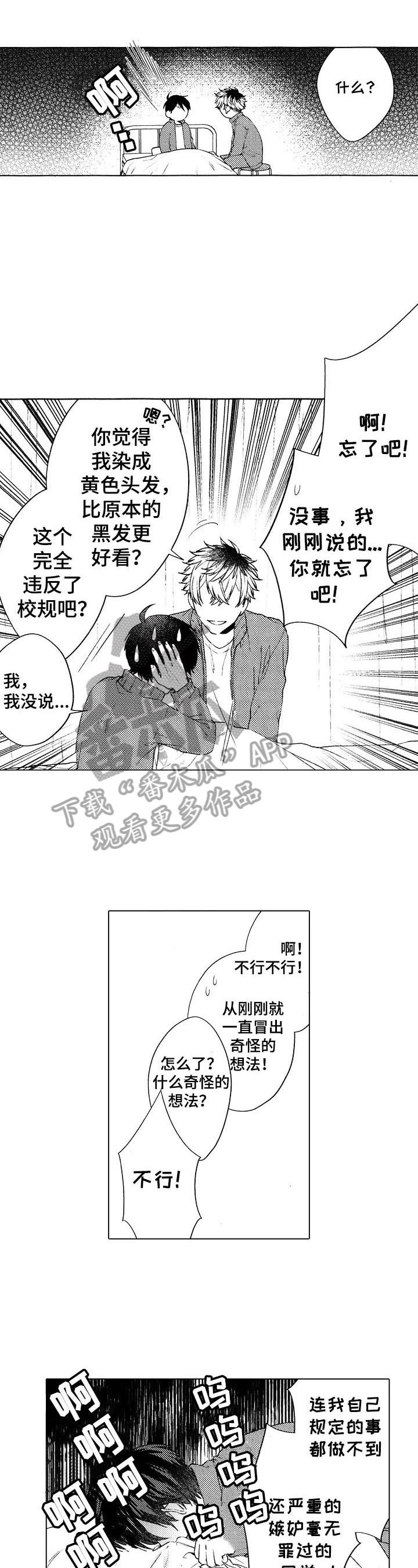 《我的学生会长》第12章喜欢 第3页