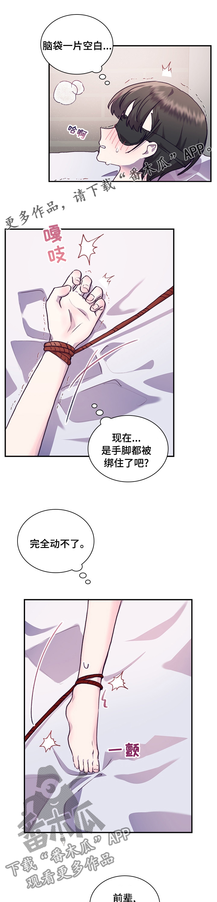 《箱中道具》第47章无所谓 第1页