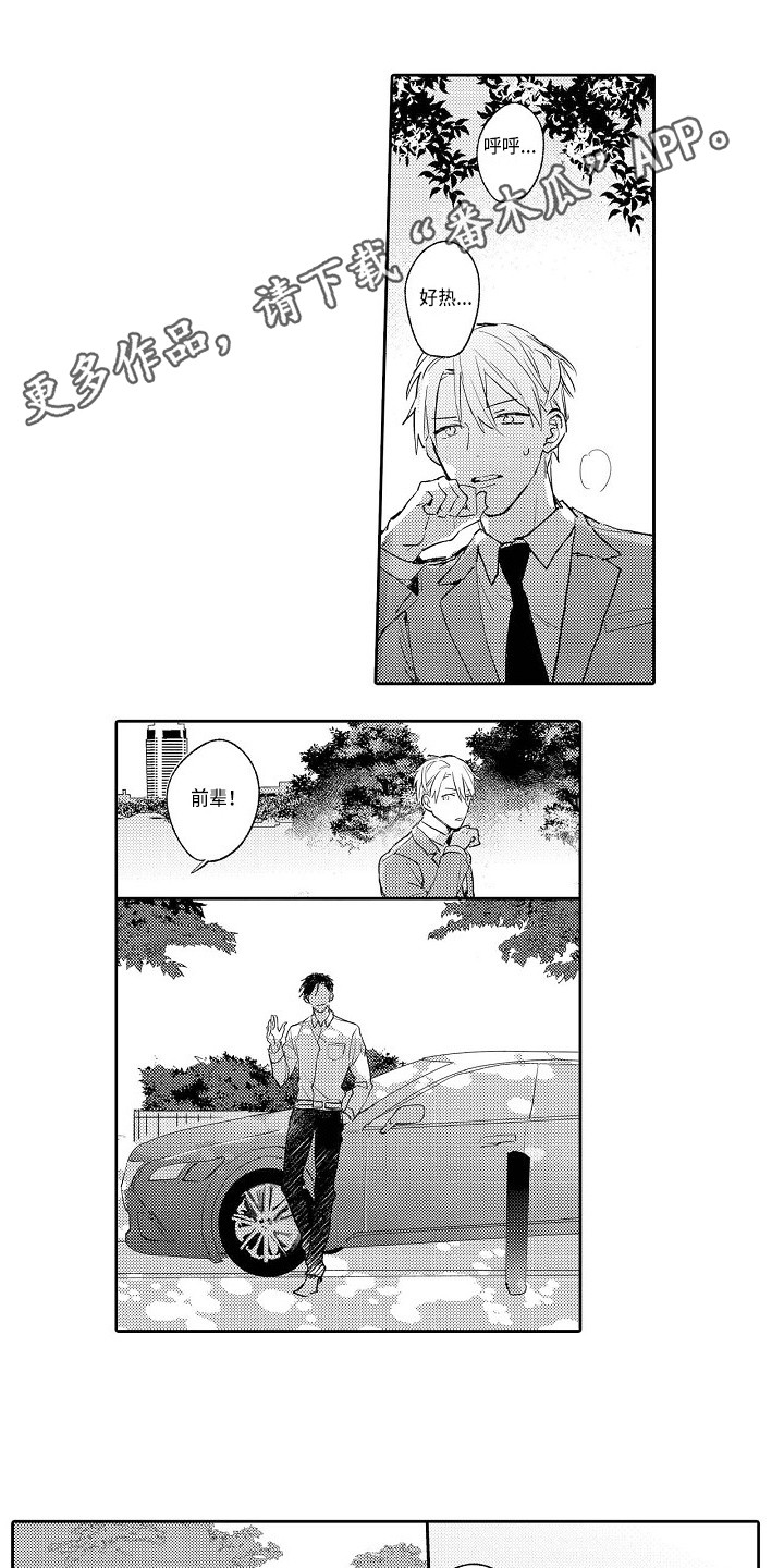 《看透本性》第21章恢复平静 第4页
