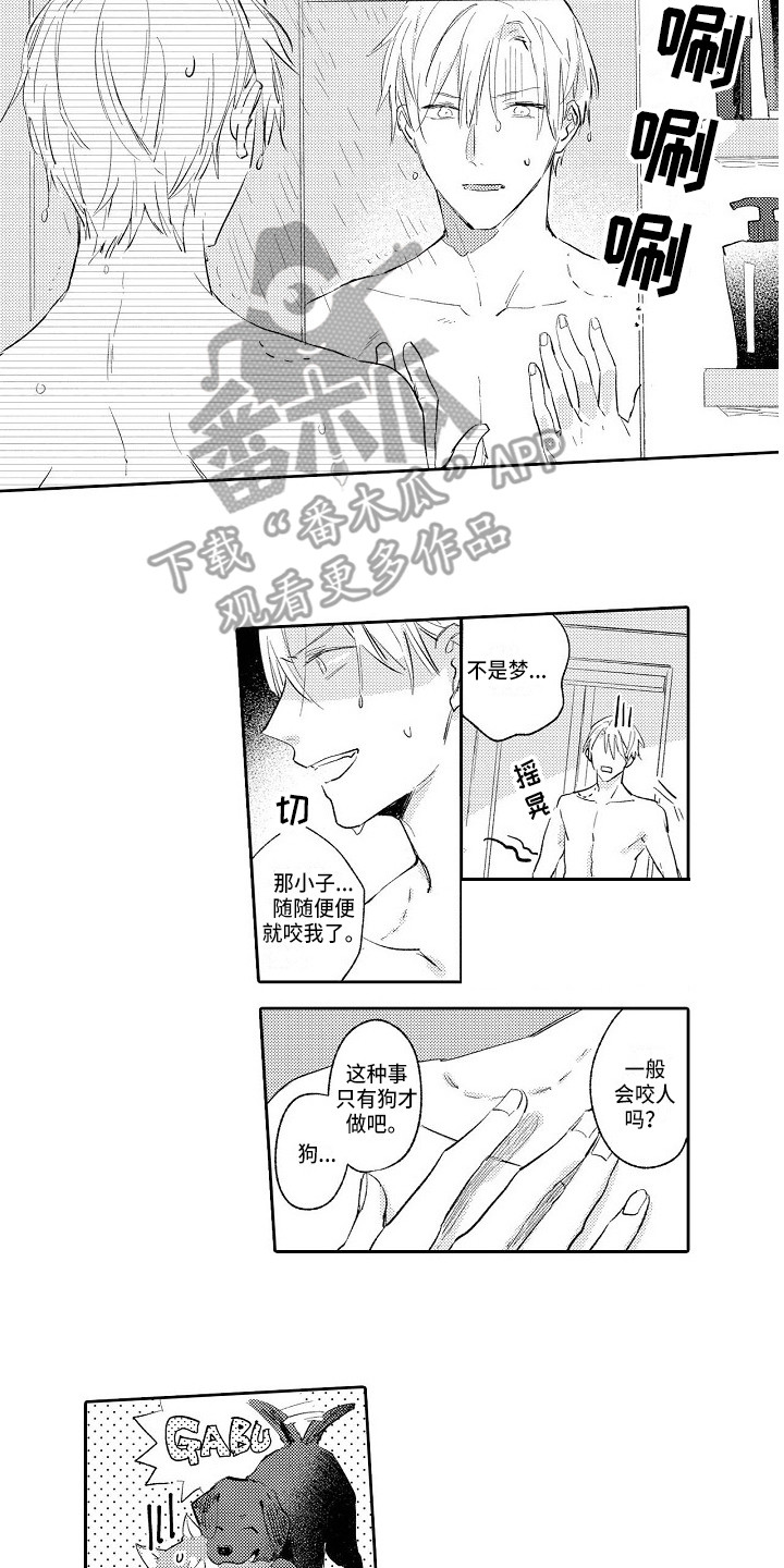 《看透本性》第5章和平常一样 第2页