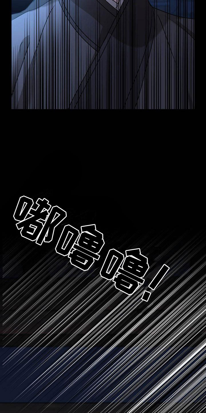 《宫闱秘事》第15章受伤 第8页