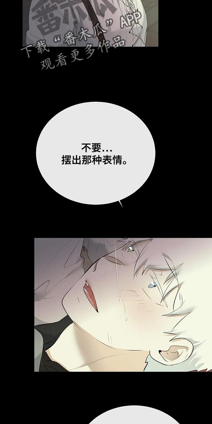 《贴身使者》第97章和解 第13页