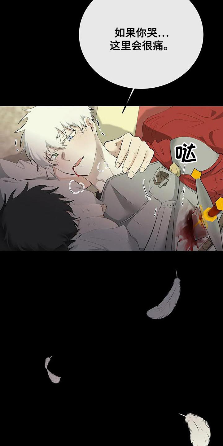 《贴身使者》第97章和解 第14页