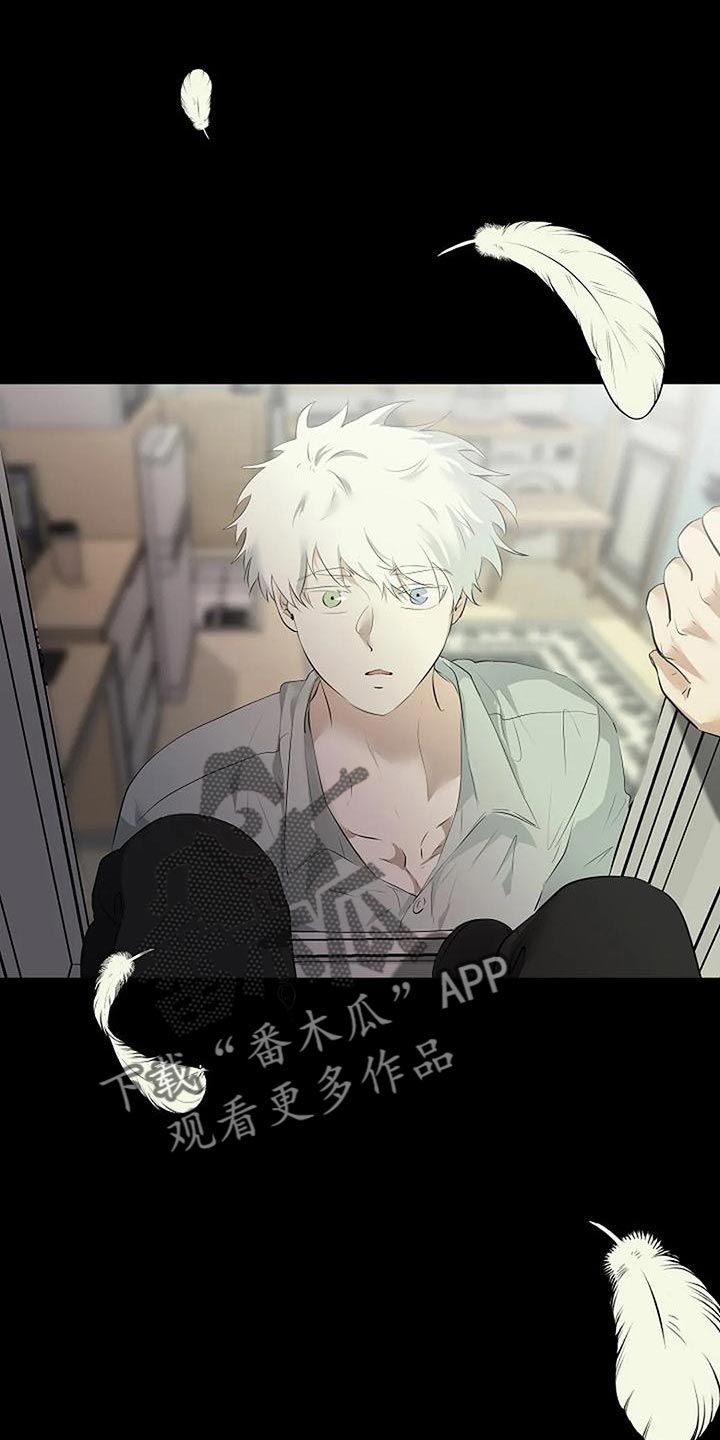 《贴身使者》第97章和解 第16页