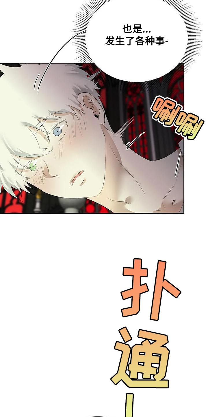 《贴身使者》第97章和解 第3页