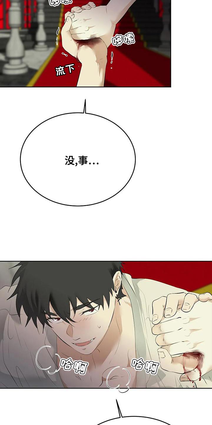 《贴身使者》第97章和解 第5页