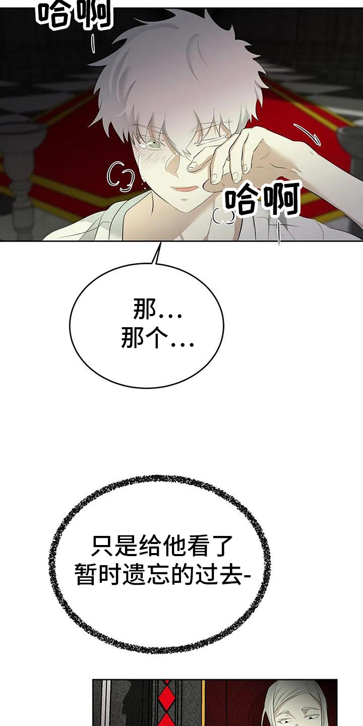 《贴身使者》第95章复仇 第11页